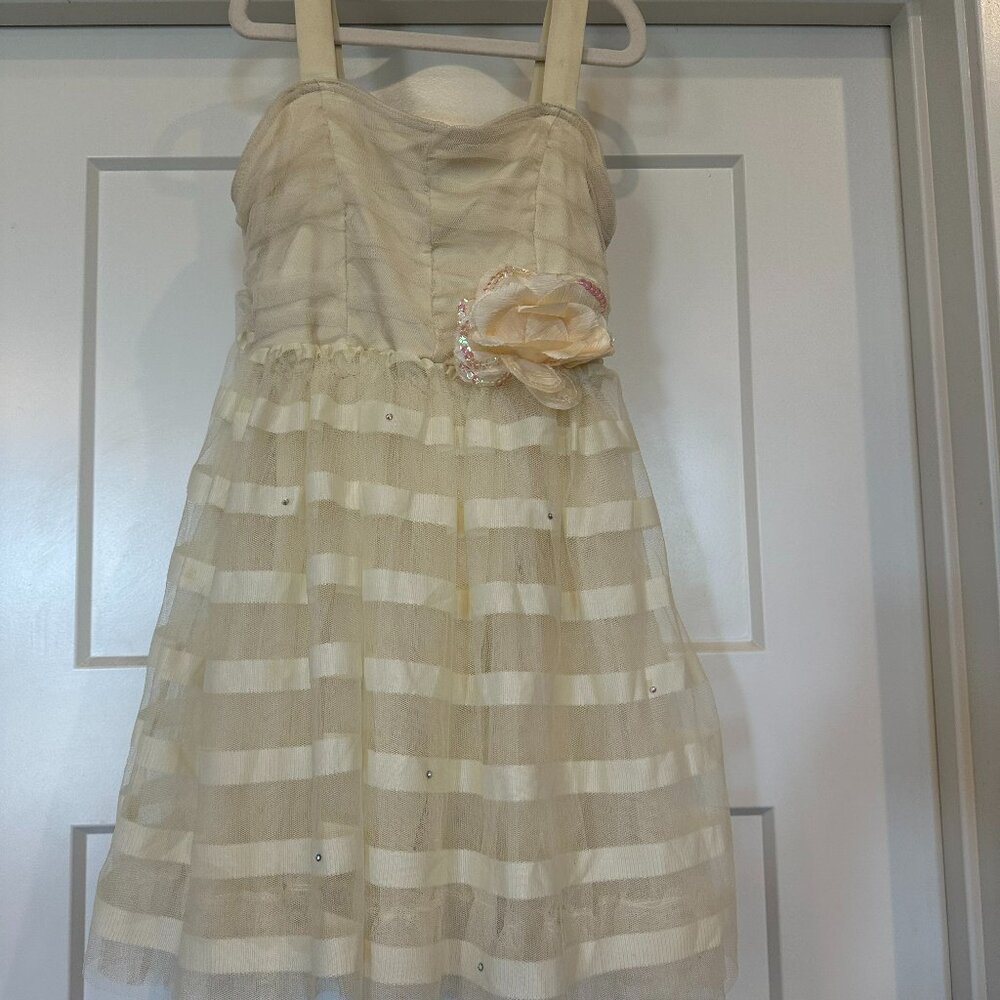 Beautiful Weissman Dance Costume